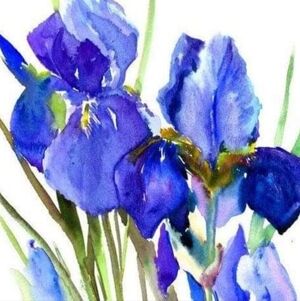 Have A Wonderful Day